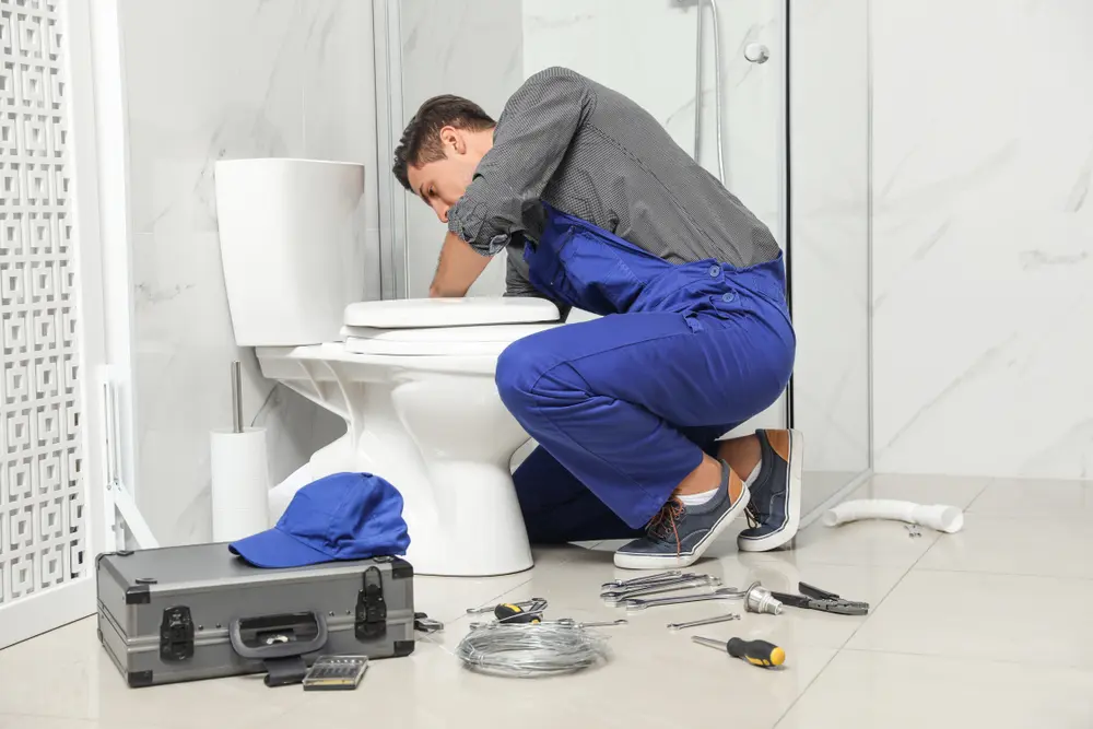 Toilet Installation in Elsa